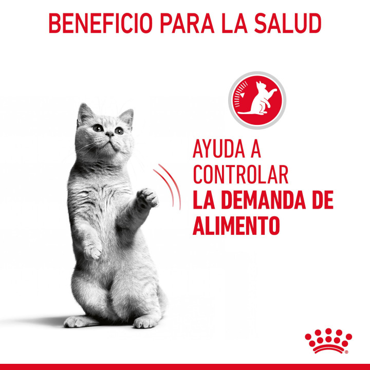 Royal Canin Appetite Control Sterilised Gravy 