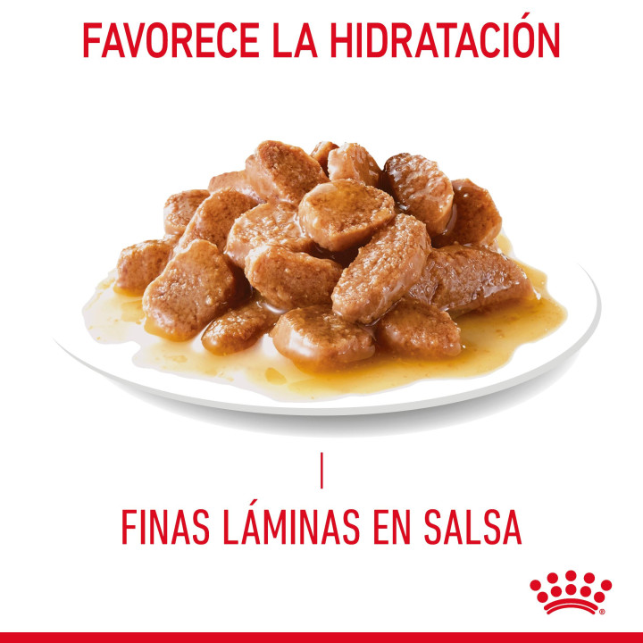 Royal Canin Appetite Control Sterilised Gravy 
