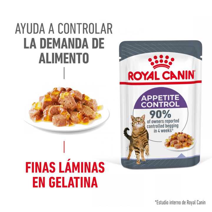 Royal Canin Appetite Control Sterilised Jelly