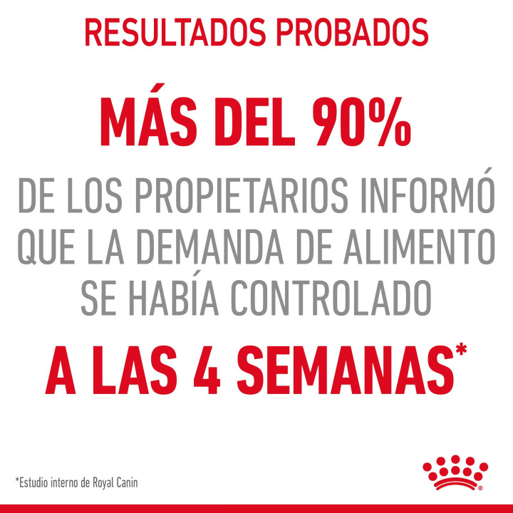 Royal Canin Appetite Control Sterilised Jelly