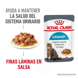 Comida húmeda Royal Canin Urinary Care para gatos - Kompymascotas