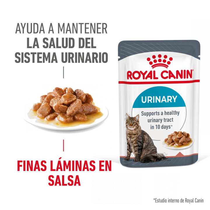 Comida húmeda Royal Canin Urinary Care para gatos - Kompymascotas