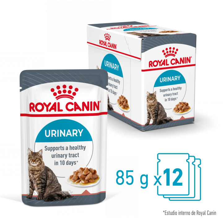 Comida húmeda Royal Canin Urinary Care para gatos - Kompymascotas