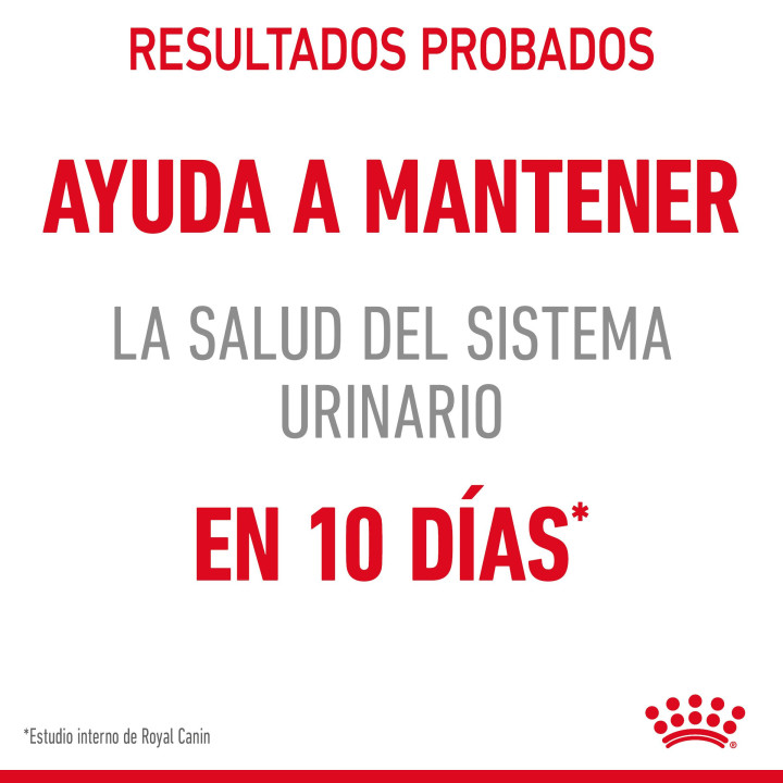 Comida húmeda Royal Canin Urinary Care para gatos - Kompymascotas