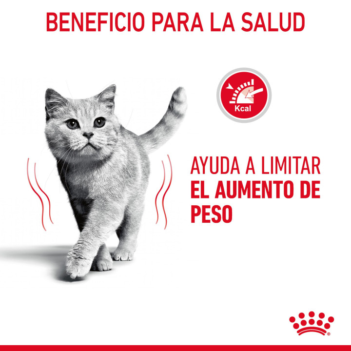 Comida húmeda Royal Canin Ultra Light para gatos - Kompymascotas