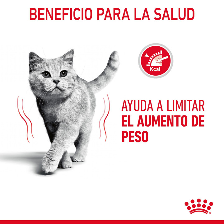 Comida húmeda Royal Canin Ultra Light (Gelatina) - Kompymascotas