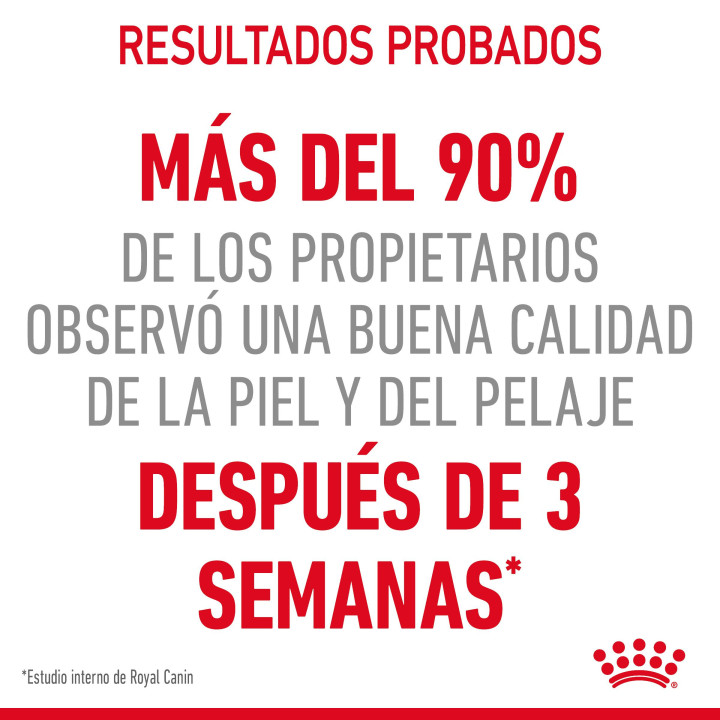 Royal Canin Intense Beauty, Comida húmeda para gatos - Kompymascotas