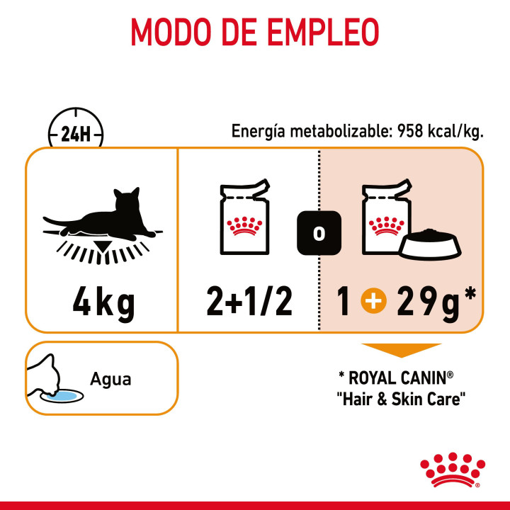 Royal Canin Intense Beauty, Comida húmeda para gatos - Kompymascotas