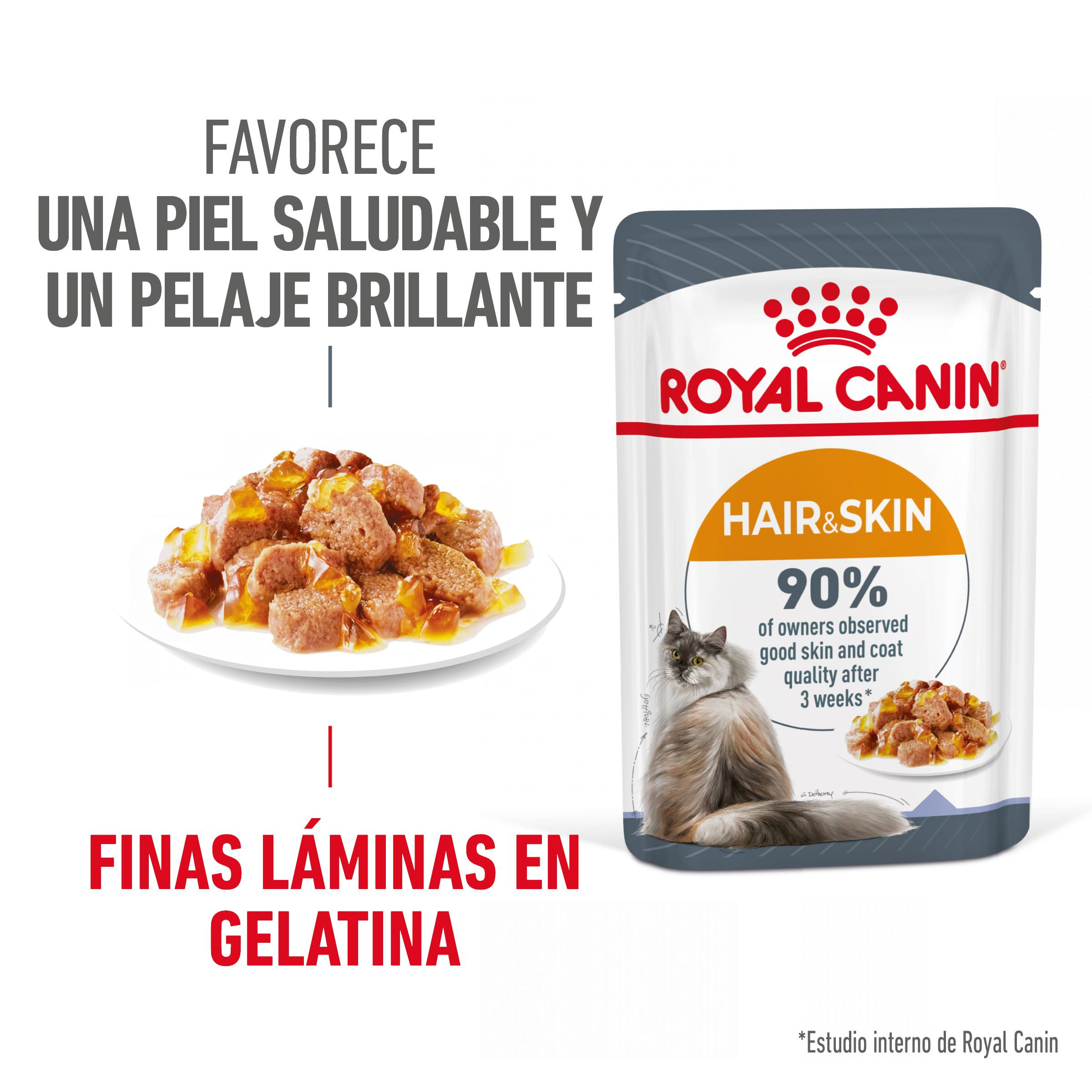 Royal canin care húmedo gato