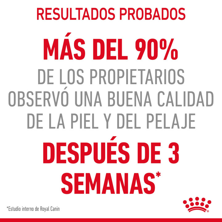 Comida húmeda Royal Canin Intense Beauty (Jelly) para gatos - Kompymascotas