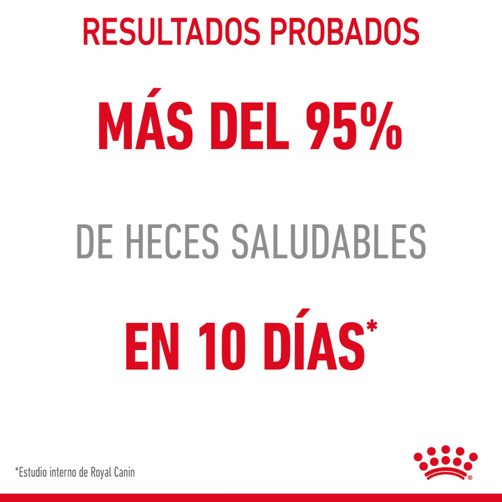 Royal Canin Digest Sensitive, Comida húmeda para gatos - Kompymascotas