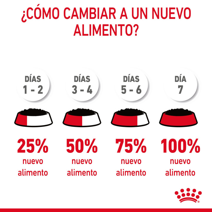 Royal Canin Digest Sensitive, Comida húmeda para gatos - Kompymascotas