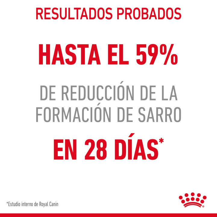 Royal Canin Oral Sensitive 30 Pienso para gatos - Kompymascotas
