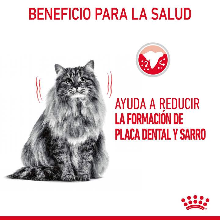 Royal Canin Oral Sensitive 30 Pienso para gatos - Kompymascotas