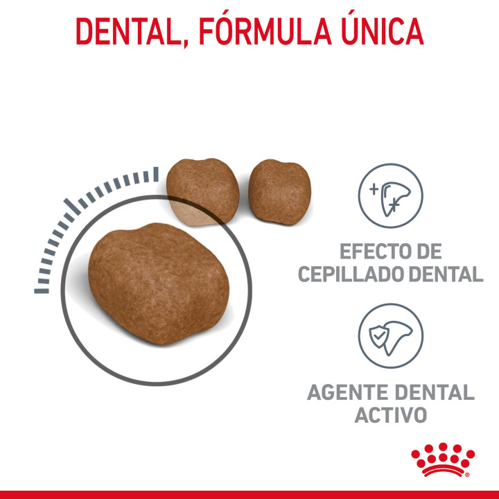 Royal Canin Oral Sensitive 30 Pienso para gatos - Kompymascotas