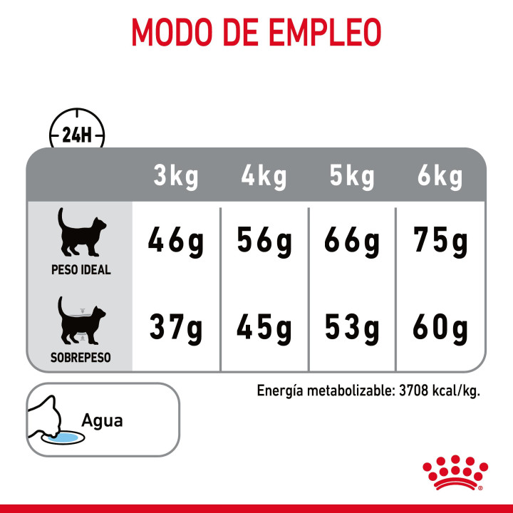 Royal Canin Oral Sensitive 30 Pienso para gatos - Kompymascotas