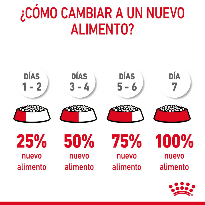 Royal Canin Oral Sensitive 30 Pienso para gatos - Kompymascotas