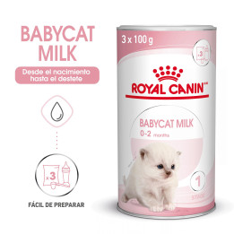 Royal Canin Feline Babycat Milk, Complementos  para gatos - Kompymascotas