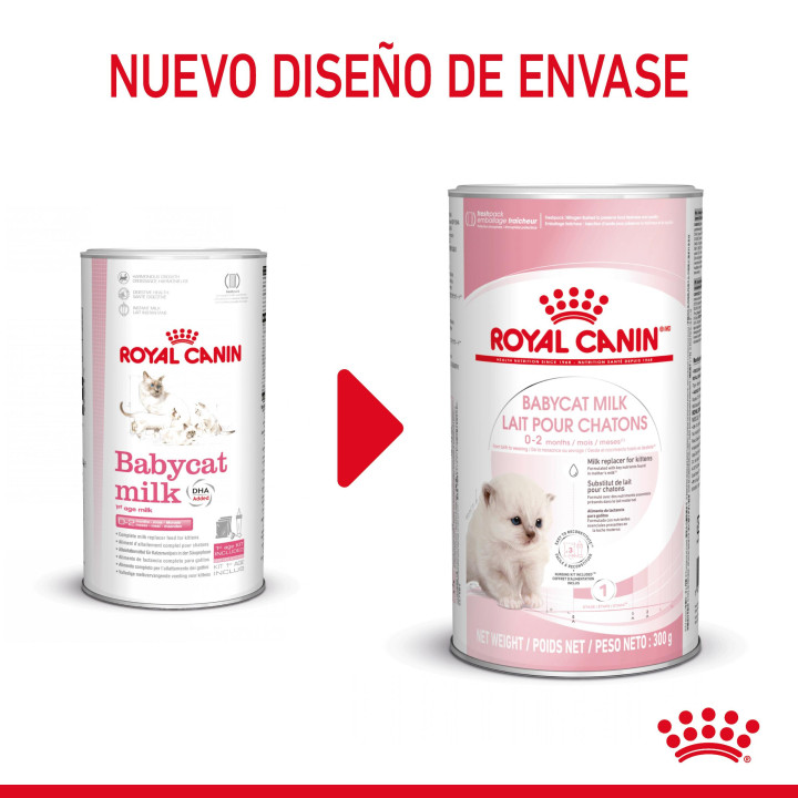 Royal Canin Feline Babycat Milk, Complementos  para gatos - Kompymascotas