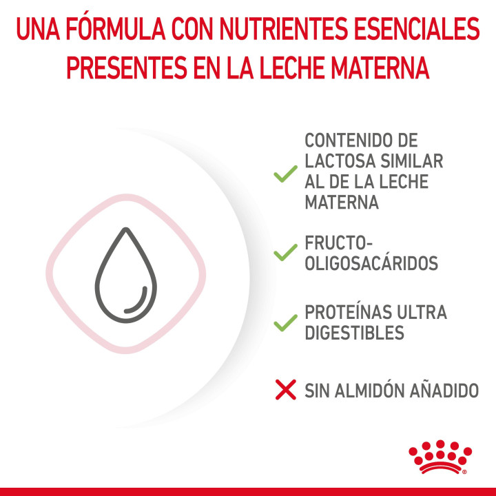 Royal Canin Feline Babycat Milk, Complementos  para gatos - Kompymascotas