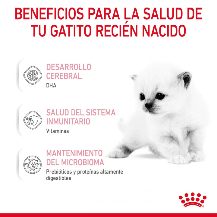 Royal Canin Feline Babycat Milk, Complementos  para gatos - Kompymascotas