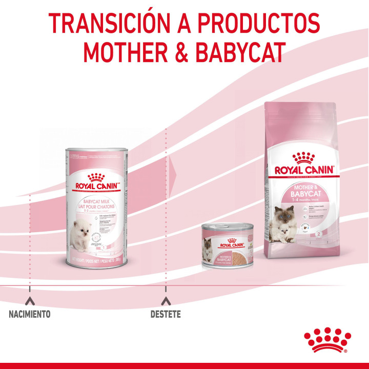 Royal Canin Feline Babycat Milk, Complementos  para gatos - Kompymascotas