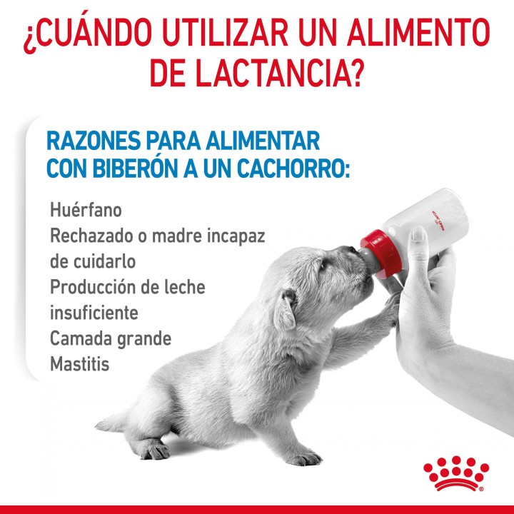 Royal Canin Babydog Milk - 1st Age Milk, Leche para cachorros - Kompymascotas