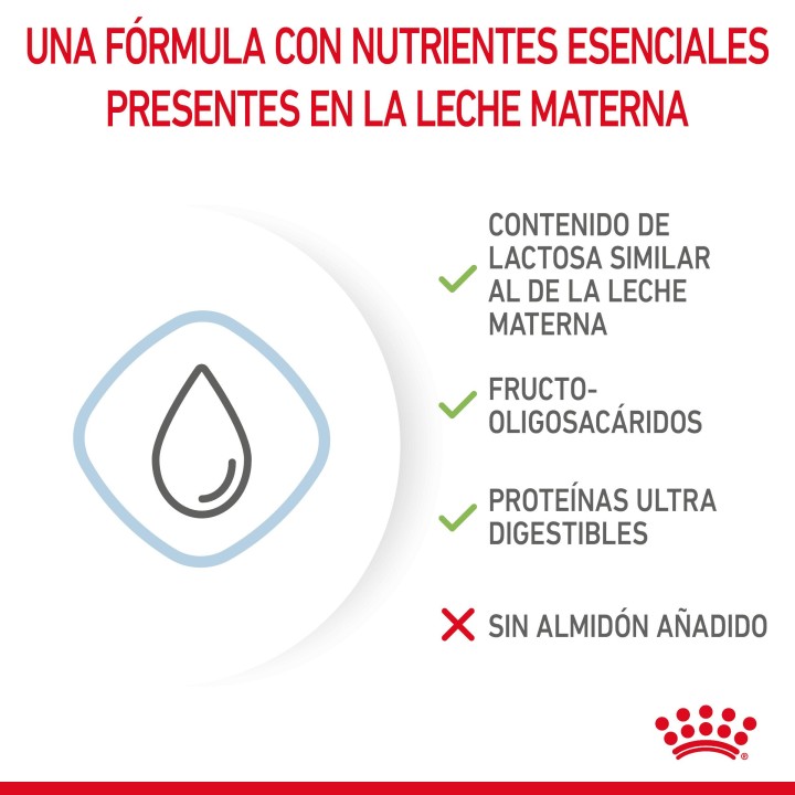 Royal Canin Babydog Milk - 1st Age Milk, Leche para cachorros - Kompymascotas