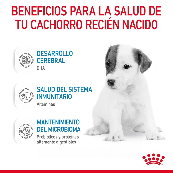 Royal Canin Babydog Milk - 1st Age Milk, Leche para cachorros - Kompymascotas