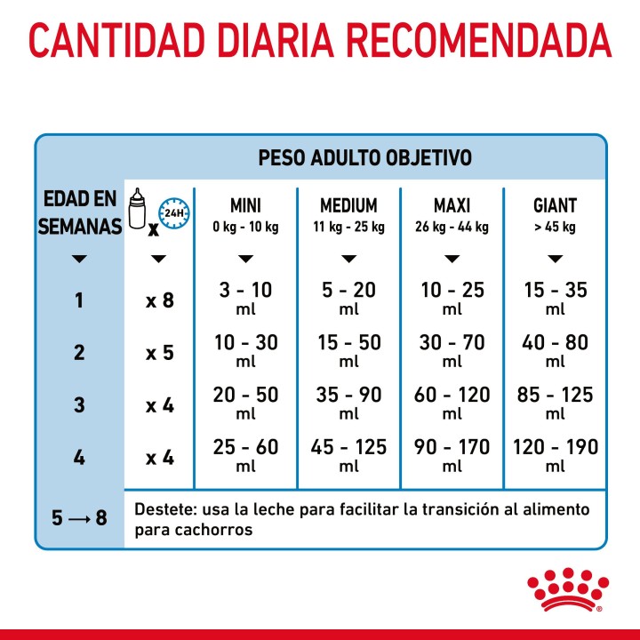 Royal Canin Babydog Milk - 1st Age Milk, Leche para cachorros - Kompymascotas