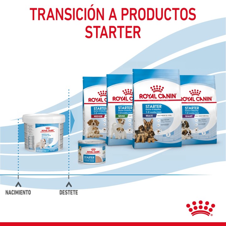 Royal Canin Babydog Milk - 1st Age Milk, Leche para cachorros - Kompymascotas