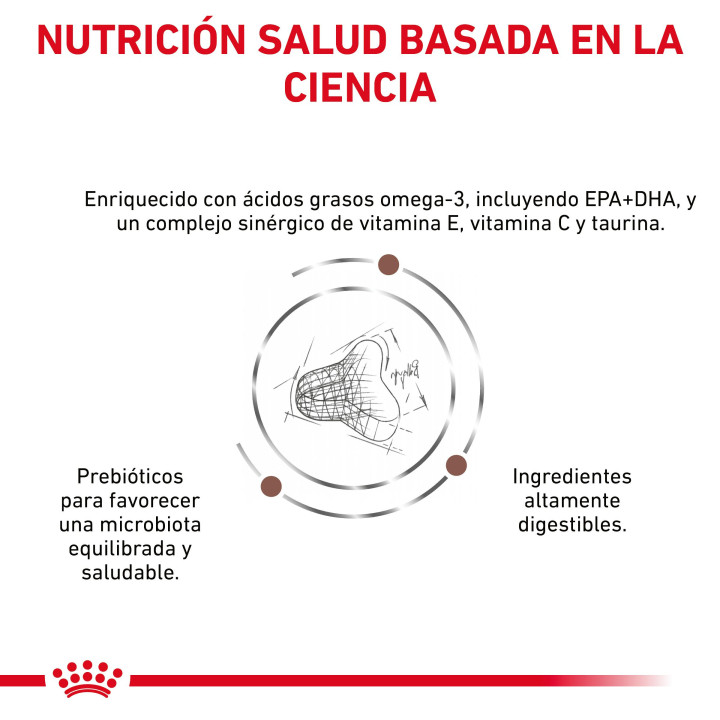 Pienso veterninario Royal Canin para gatos fibre - Kompymascotas