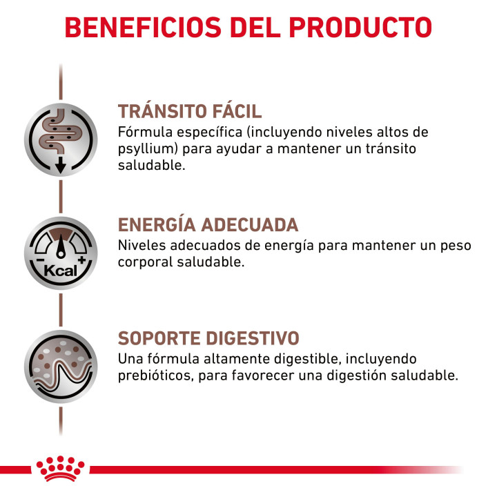 Pienso veterninario Royal Canin para gatos fibre - Kompymascotas