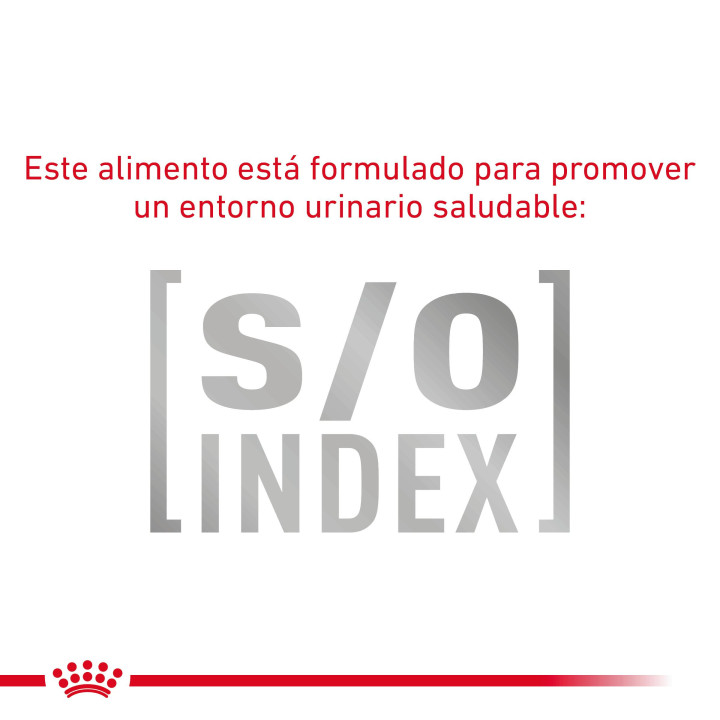 Pienso veterninario Royal Canin para gatos fibre - Kompymascotas
