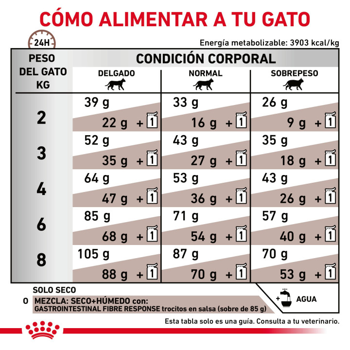 Pienso veterninario Royal Canin para gatos fibre - Kompymascotas