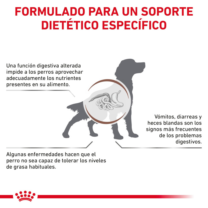 Royal Canin Gastro Intestinal Low Fat LF22, pienso para perros - Kompymascotas