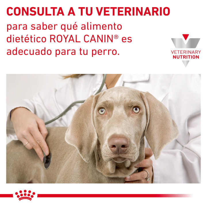 Royal Canin Gastro Intestinal Low Fat LF22, pienso para perros - Kompymascotas