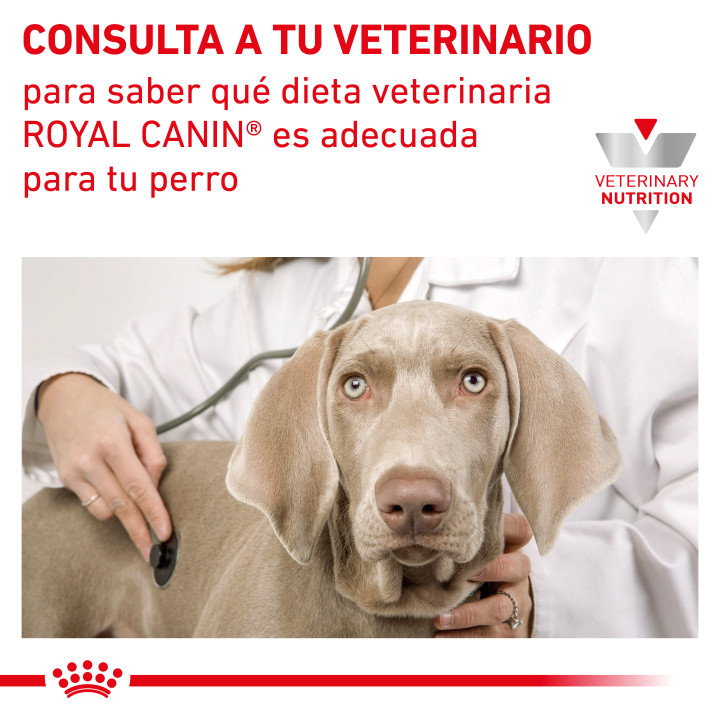 Latas Royal Canin Gastro Intestinal Low Fat, comida húmeda - Kompymascotas