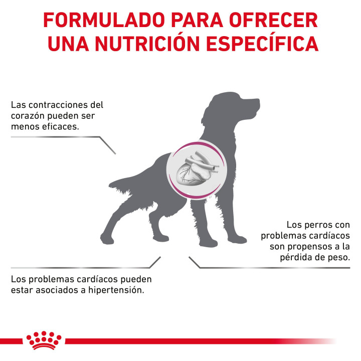 Royal Canin Cardiac, pienso para perros - Kompymascotas