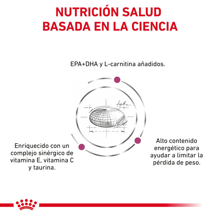 Royal Canin Cardiac, pienso para perros - Kompymascotas