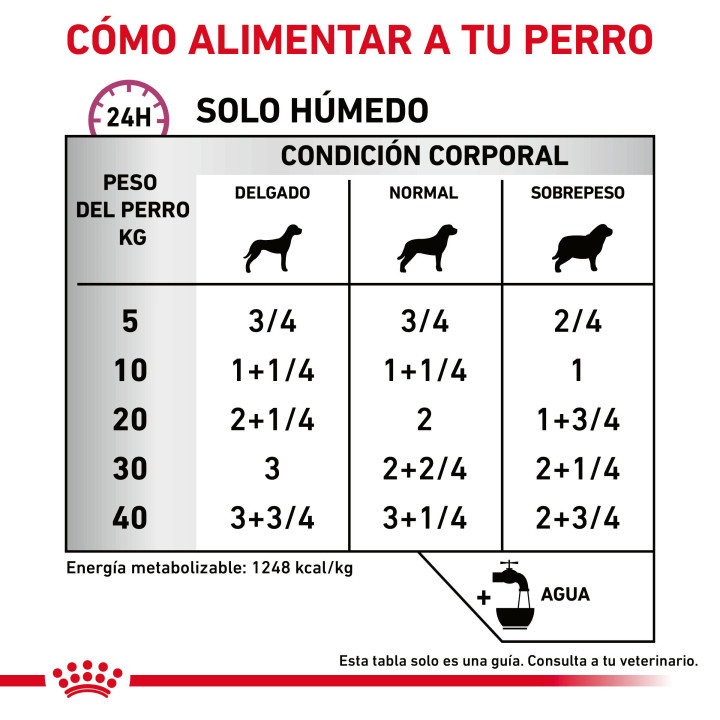Royal Canin Cardiac, comida húmeda para perros - Kompymascotas