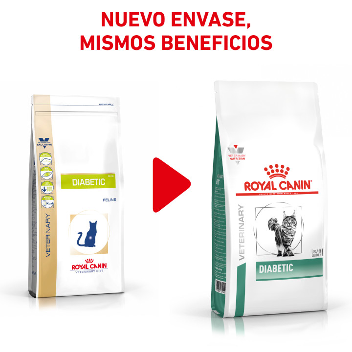 Pienso veterinario Royal Canin para gatos Diabetic - Kompymascotas