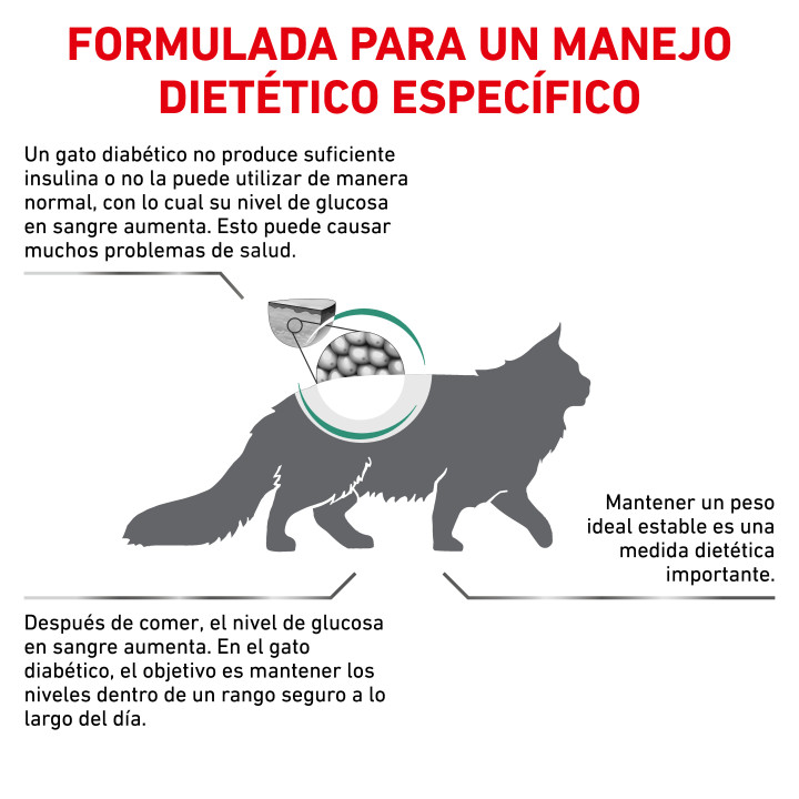 Pienso veterinario Royal Canin para gatos Diabetic - Kompymascotas