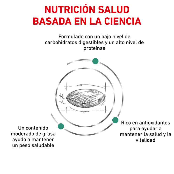 Pienso veterinario Royal Canin para gatos Diabetic - Kompymascotas