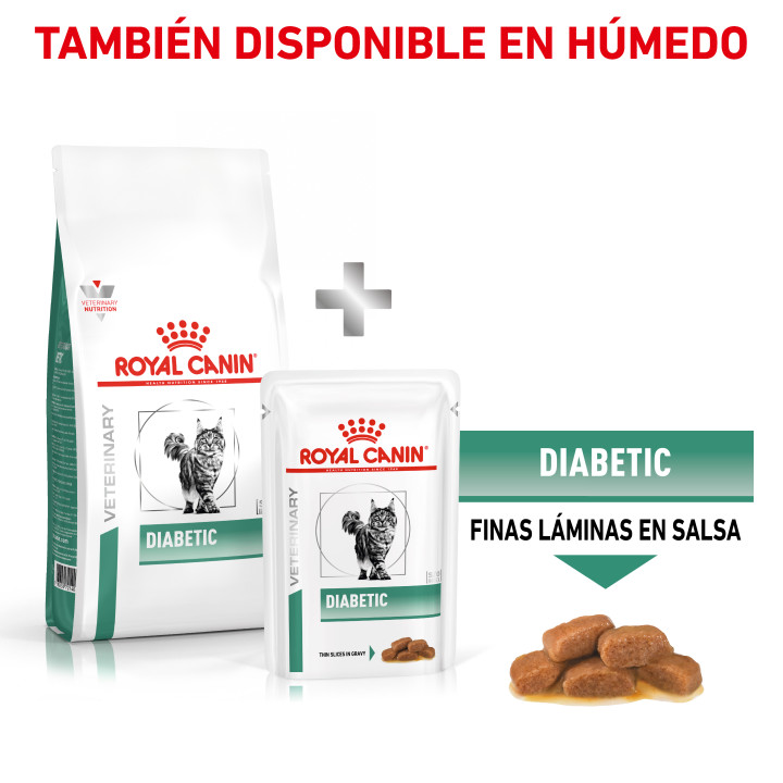 Pienso veterinario Royal Canin para gatos Diabetic - Kompymascotas