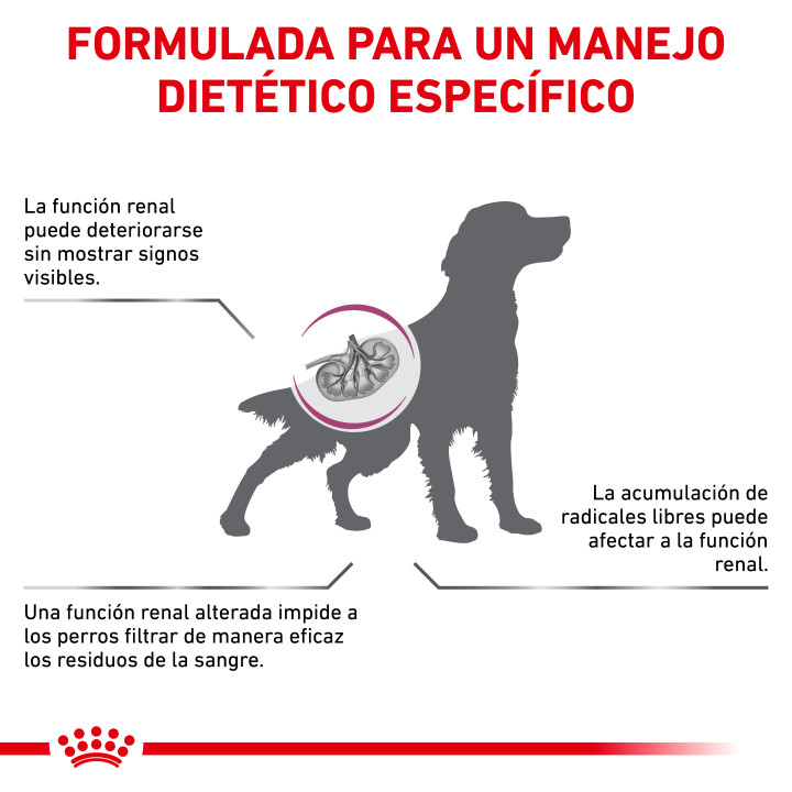Royal Canin Early Renal para perro - Kompymascotas