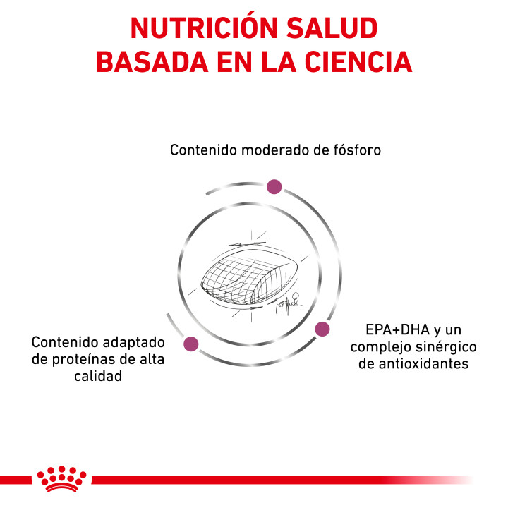 Royal Canin Early Renal para perro - Kompymascotas