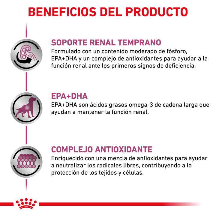 Royal Canin Early Renal para perro - Kompymascotas