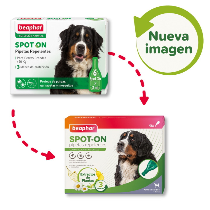 Beaphar Pipetas Repelentes Antiparasitarias - Piensoy Mascotas