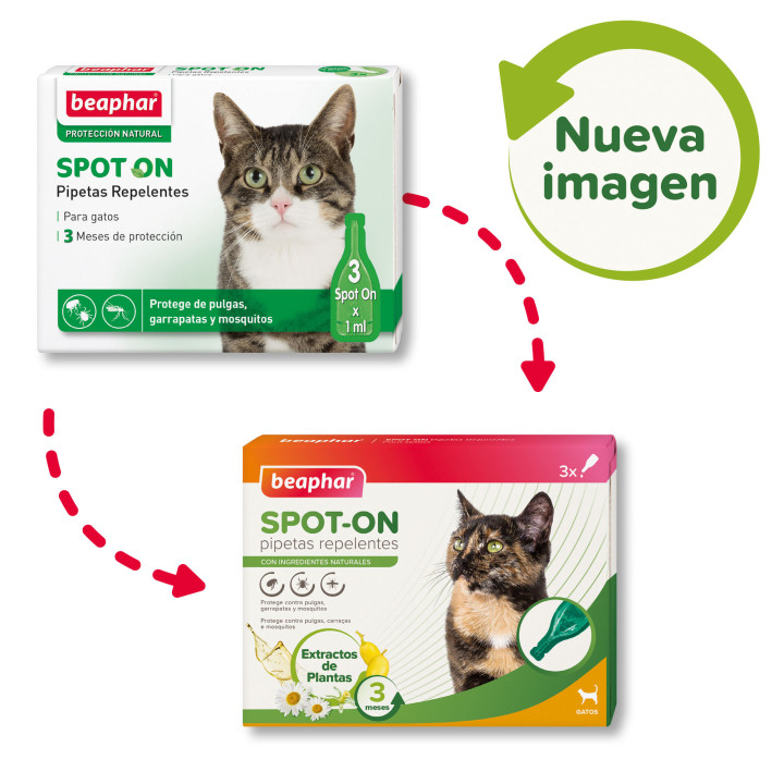 Beaphar pipetas repelentes antiparasitarias gatos - PiensoyMascotas